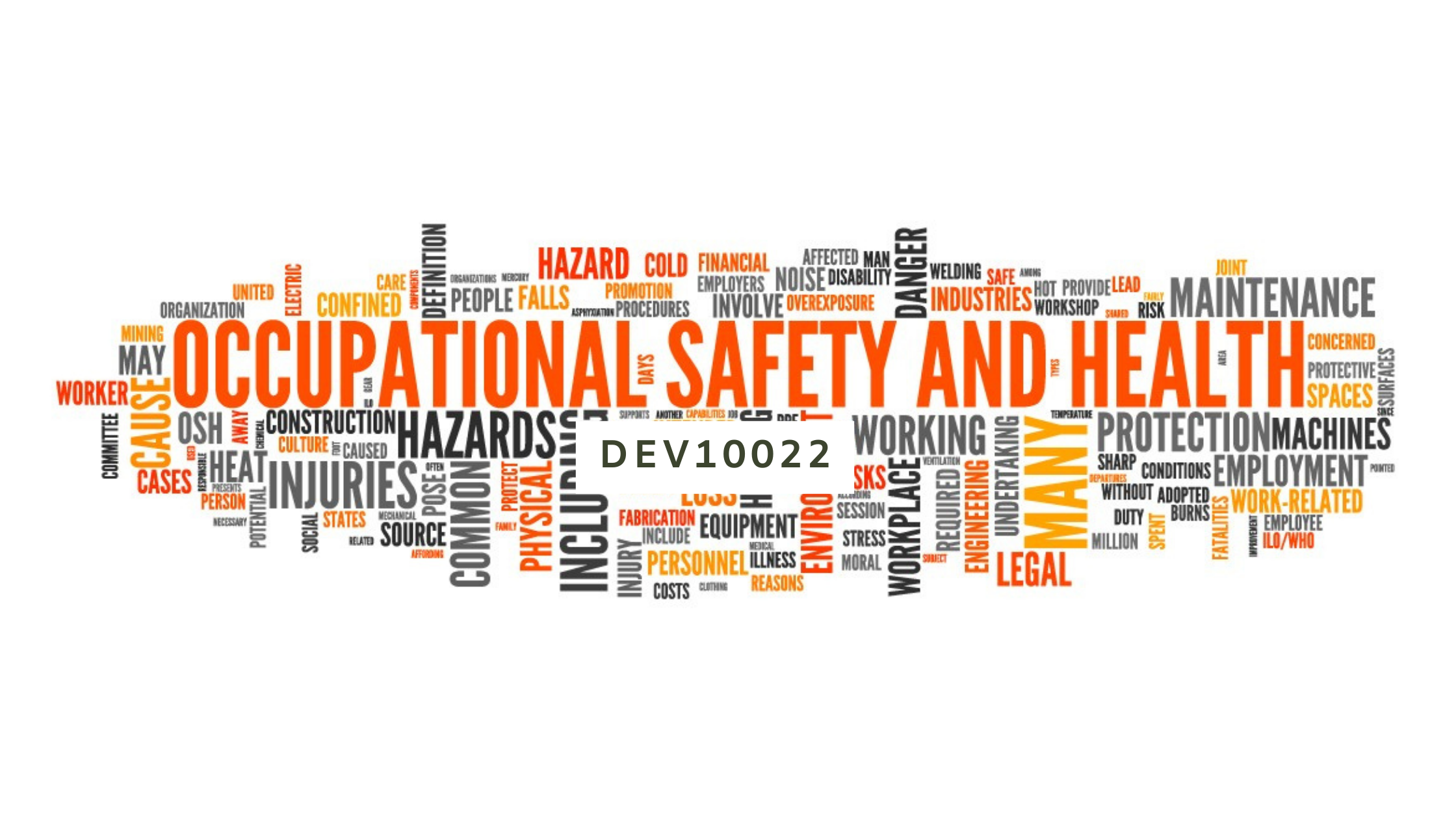 DEV10022 OCCUPATIONAL SAFETY AND HEALTH