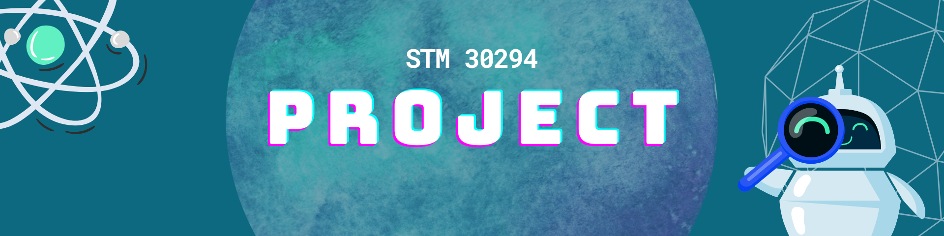 STM30294 - PROJECT 