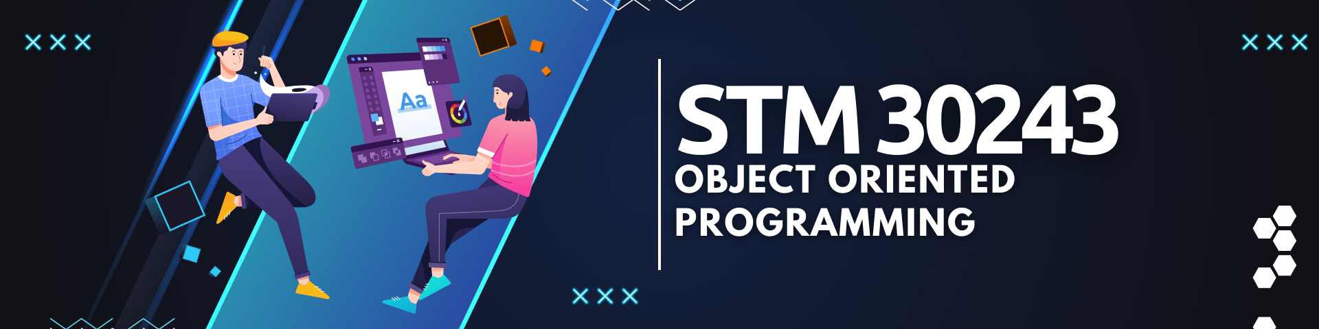 STM30243 OBJECT ORIENTED PROGRAMMING