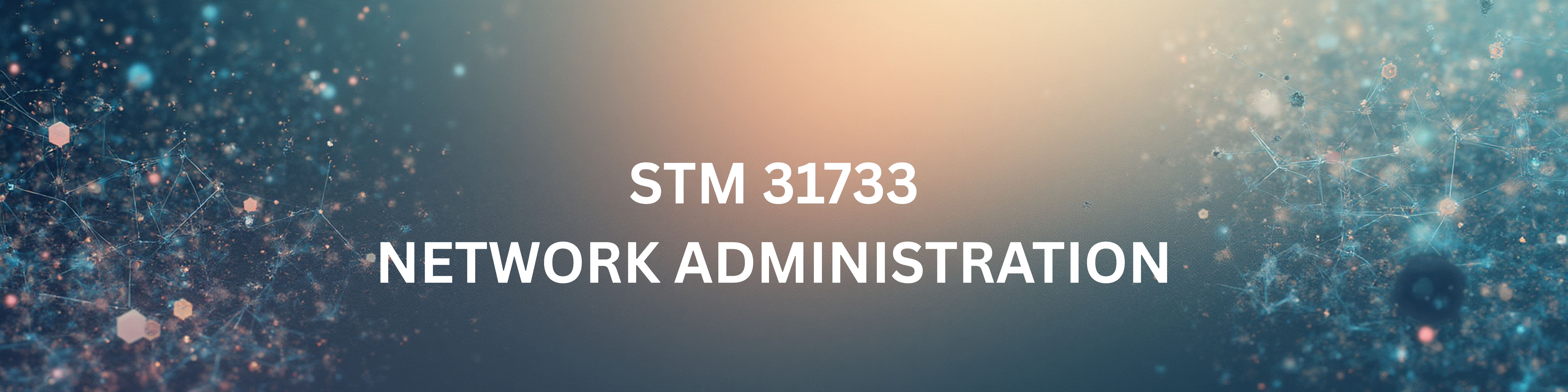 STM31733: NETWORK ADMINISTRATION (combine STM3C)